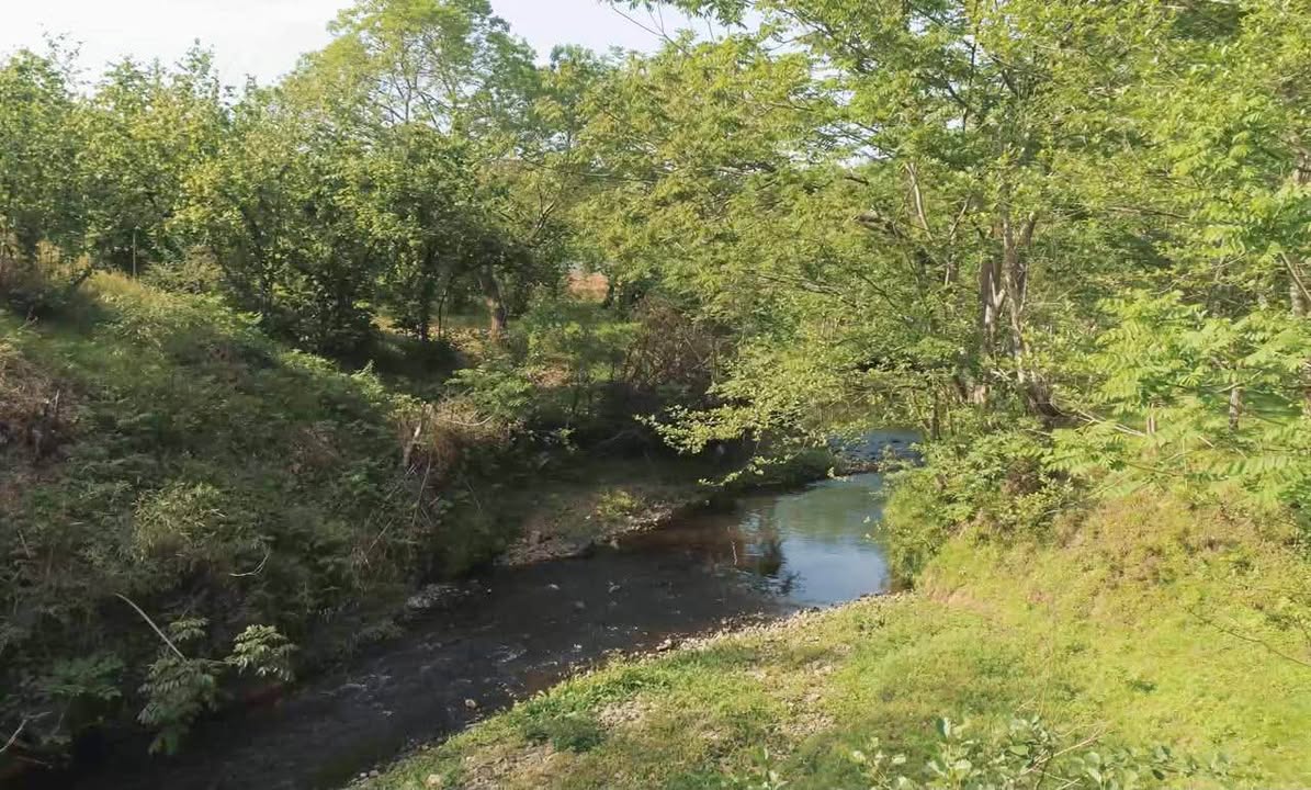 Torpaq sahəsi, Kobuleti