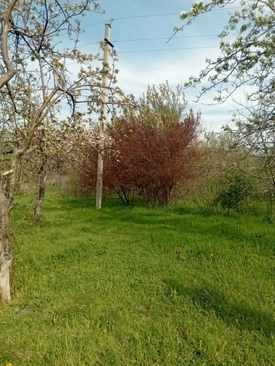 Վաճառքի է: 1000 մ² գյուղատնտեսական հողակտոր — 15$
