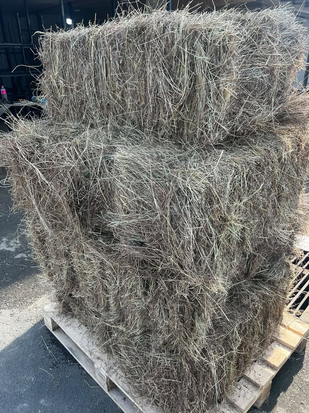 Təmiz və təmiz ot pressi satılır. Üzüm yoxdur, 13₾