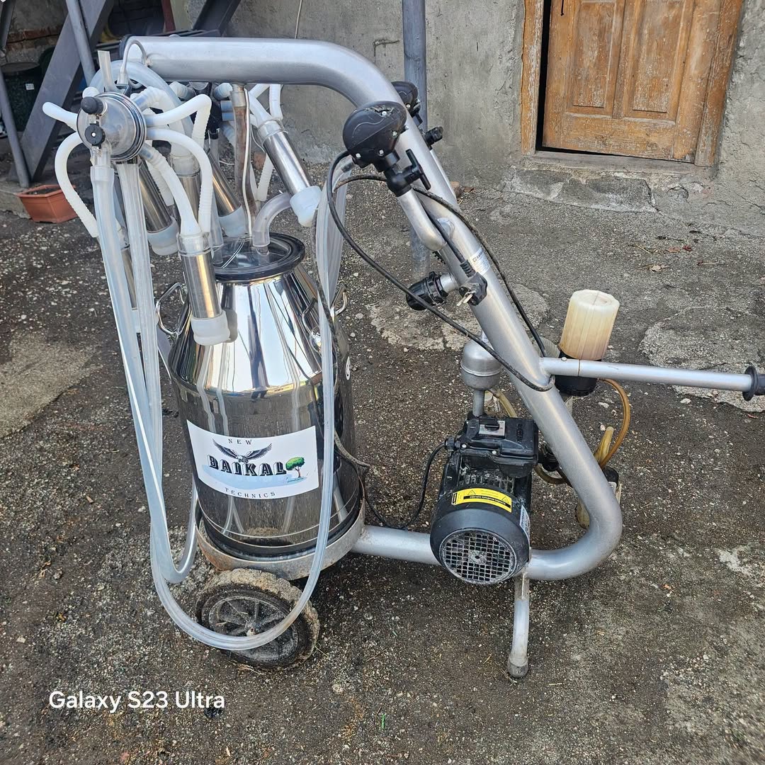 Tedis Koro'da 2 başlıklı süt sağım makinesi satılıyor