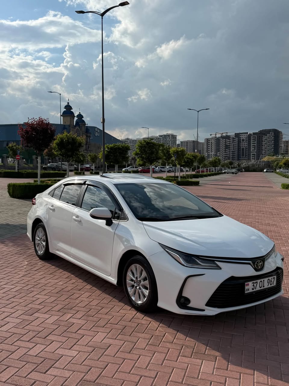 Tiv Sakarkeli 2022 — 17,500$