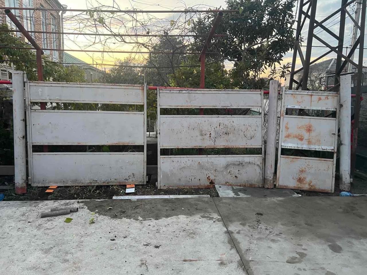 📣Satılık çişkara, fiyatı 1000 lari 📞