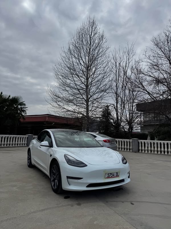Tesla 2020
