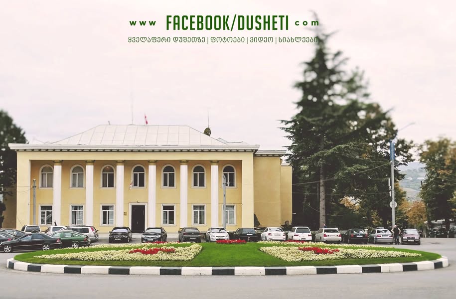 📣 Pavlovnia fidanları 🌱 2️⃣5️⃣'e kadar indirdik