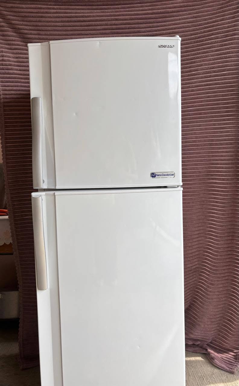 Sharp საყინულები 150×55×55 იყიდება საყინულები — 60,000֏