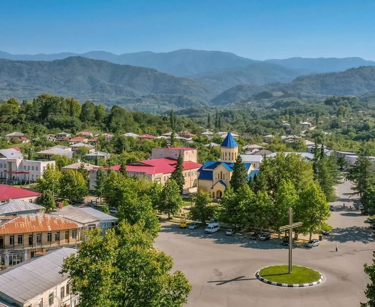 Վաճառվում է լավագույն ցողլիկաուրի։ Գինը 3 լ