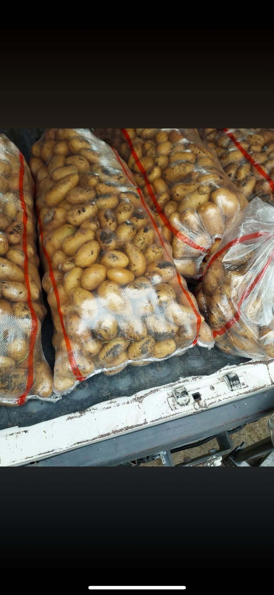 Axalcıxın təzə, keyfiyyətsiz, dadı olmayan kartofu (sarı rəngdə) - 1 kg