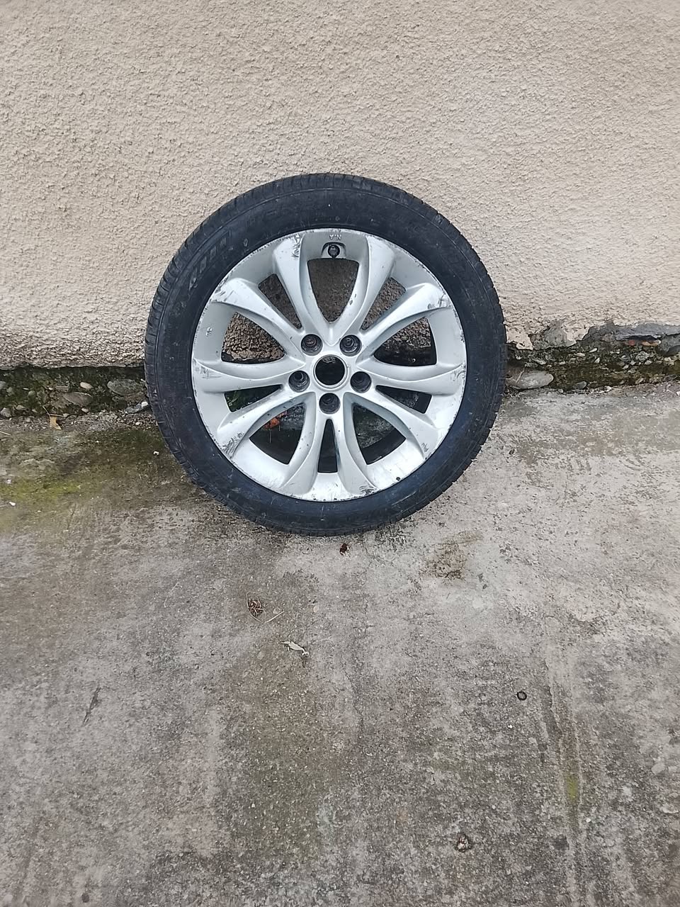 On yedi yaşındadır, seksen procenttir, kumaş 150 liraya malolur.
