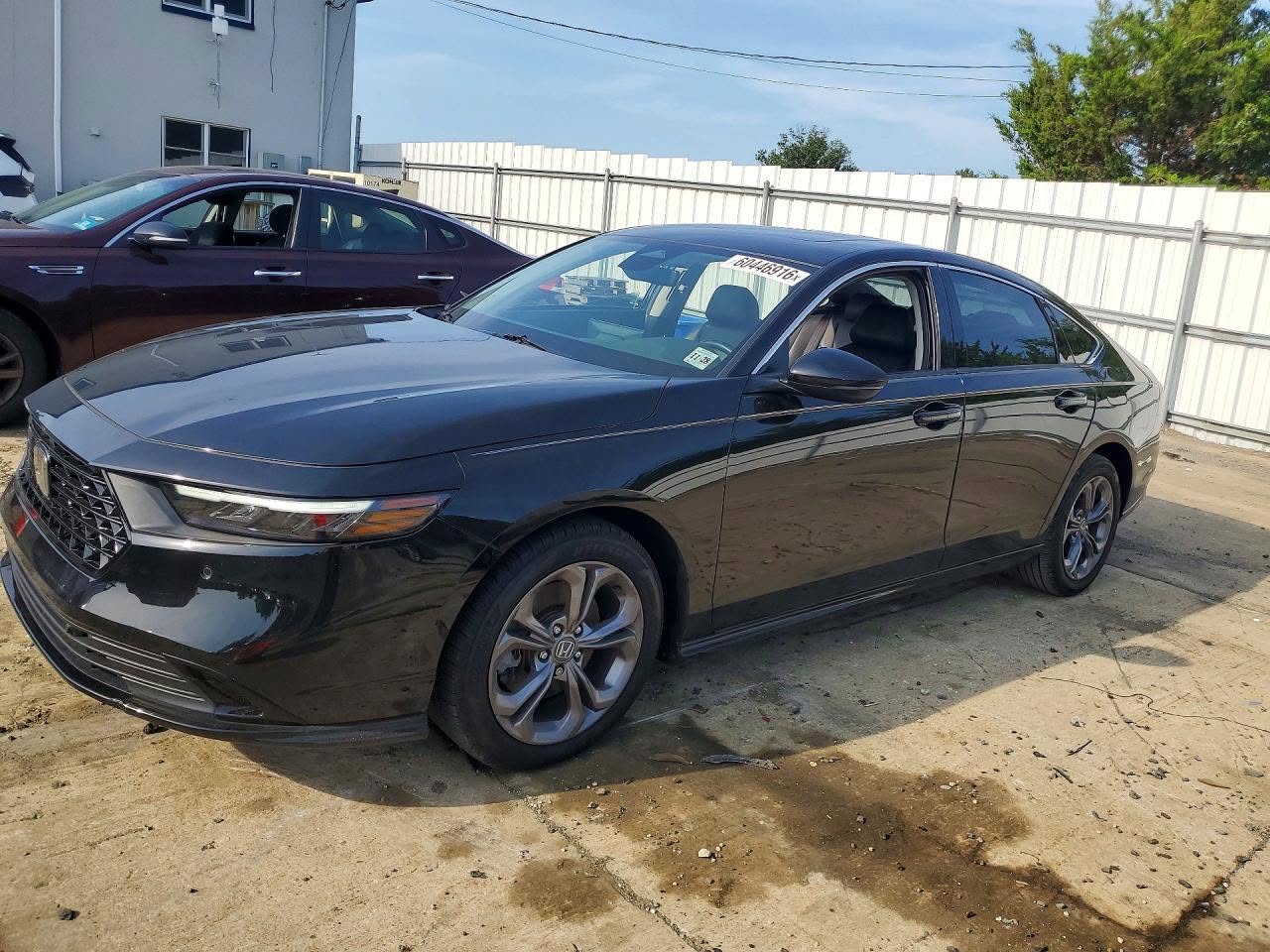 Honda Accord 2024