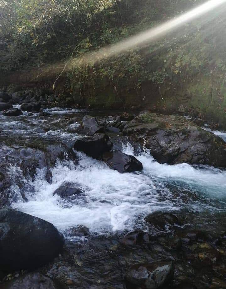 🏡 Dağ evi satılır veya değiştirilir