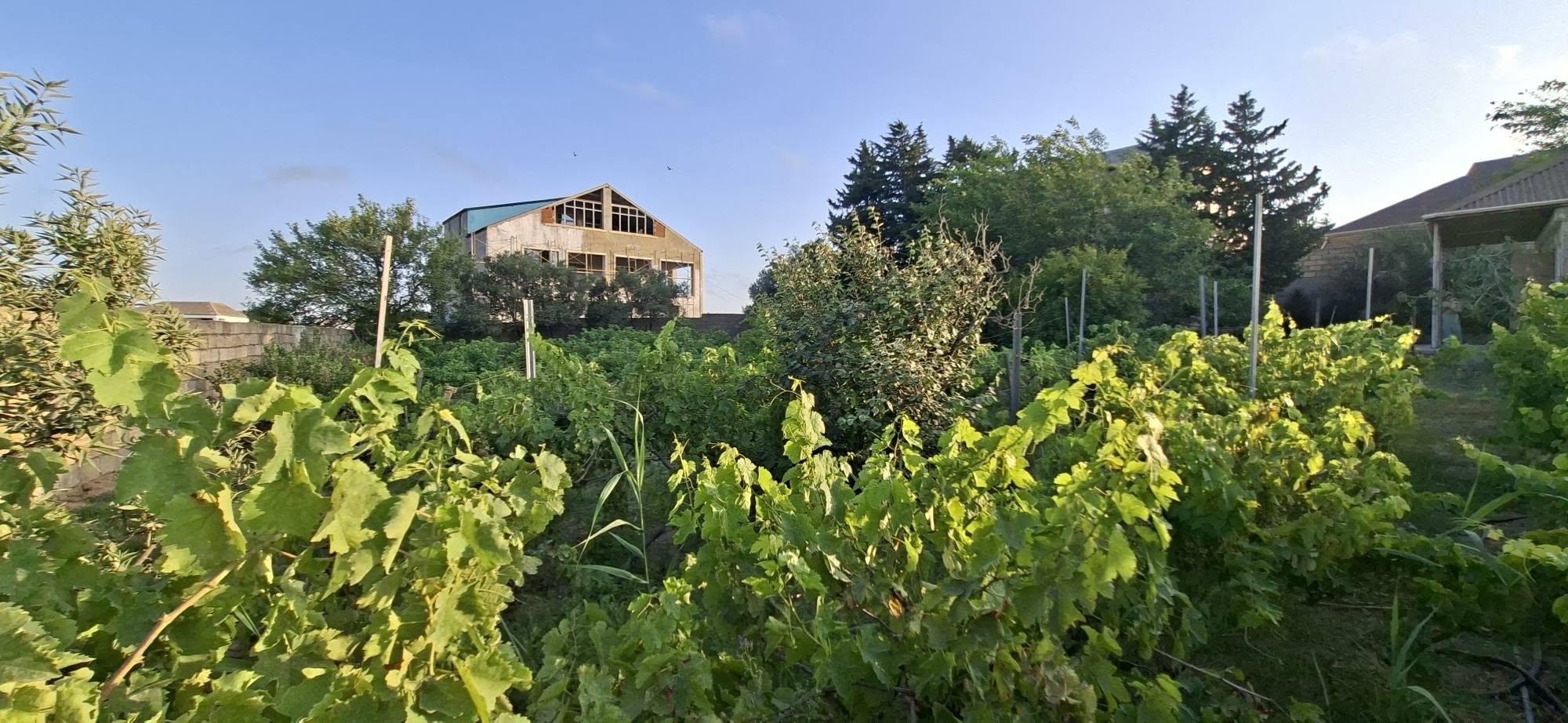Villa for sale in Baku — 250,000 ₼