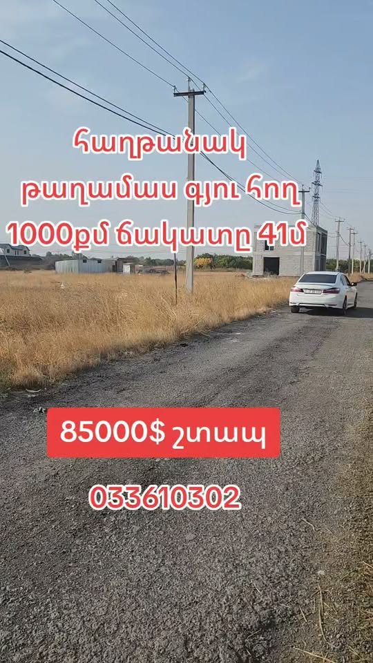 Հող 1000 քմ, ճակատը 41 մ