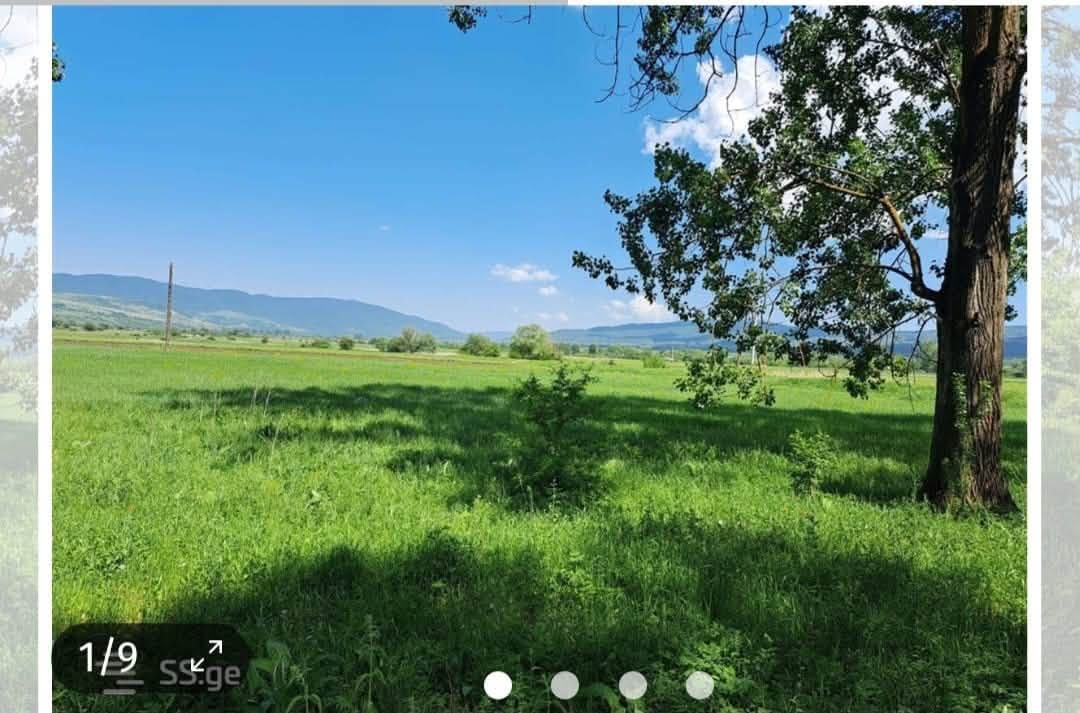 მიწის ნაკვეთი, თიანეთი — $8,500