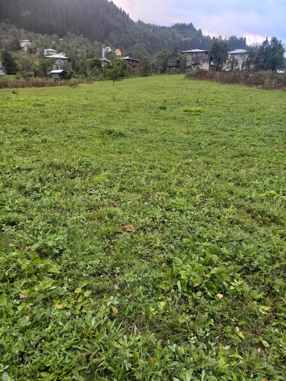 Arazi, Batum