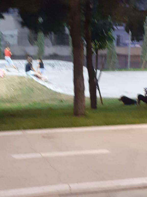 Size selamlar ve kaliteli düzenleme dileğiyle