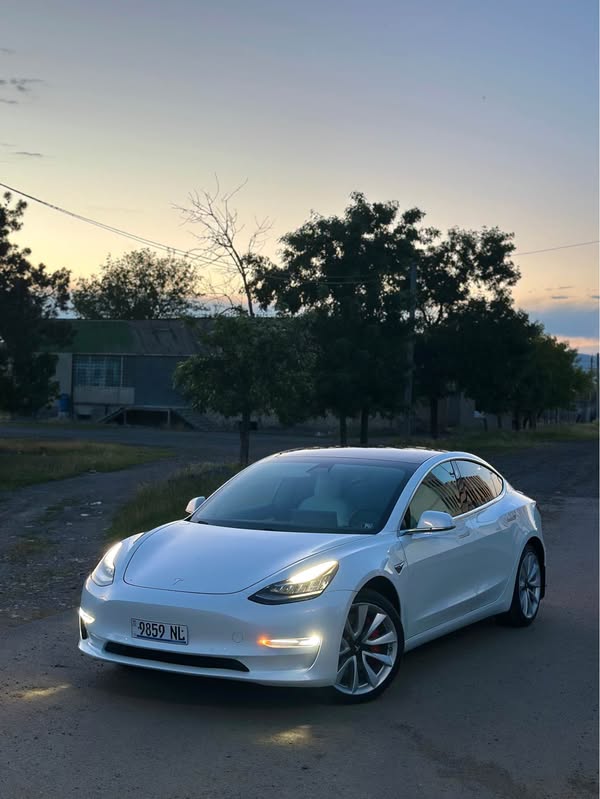 Tesla 2019