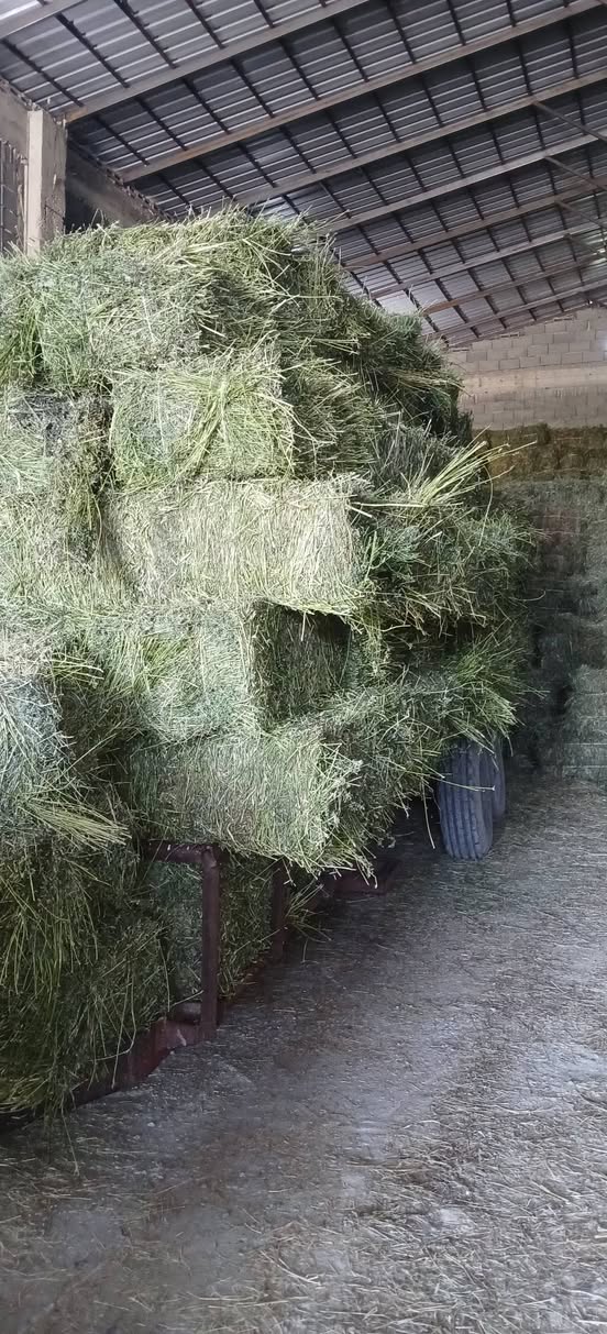 Satılır yonca və ot pressi qori - 12₾