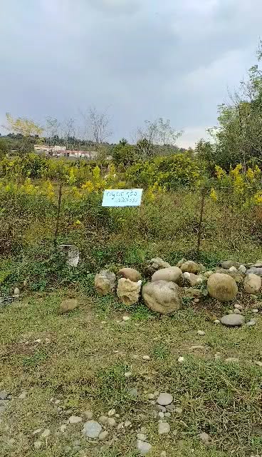 Arazi, Zugdidi — $4,200