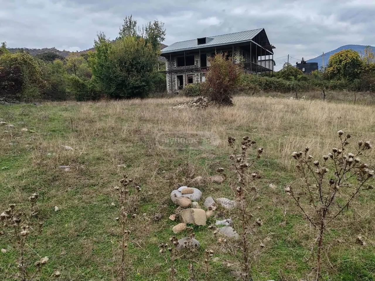 Torpaq