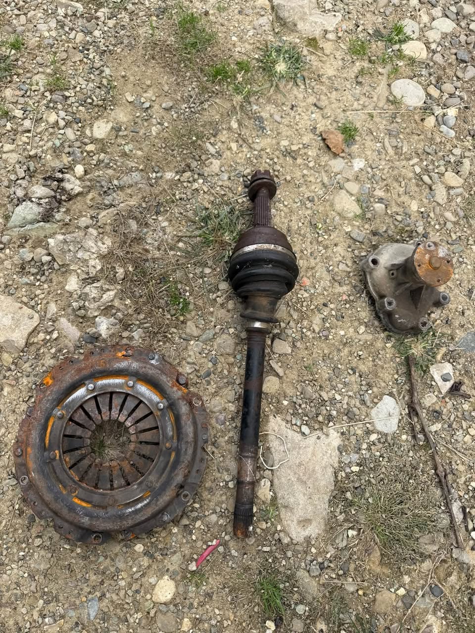 1997 թվականին 1 տարեկան հասակում մահացավ Կոմբոն: