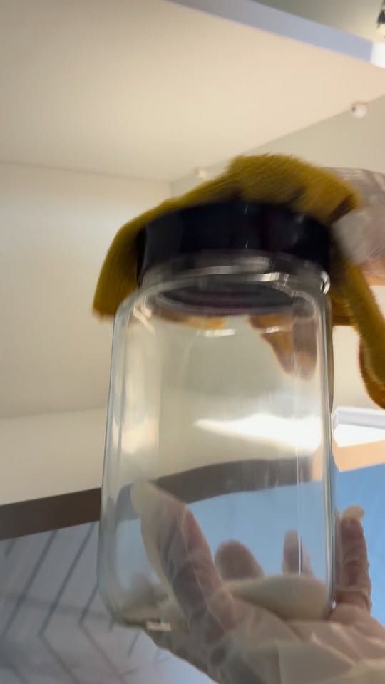 ✨🧼 Temizlik küçük detaylardan başlar! 😍🍽️