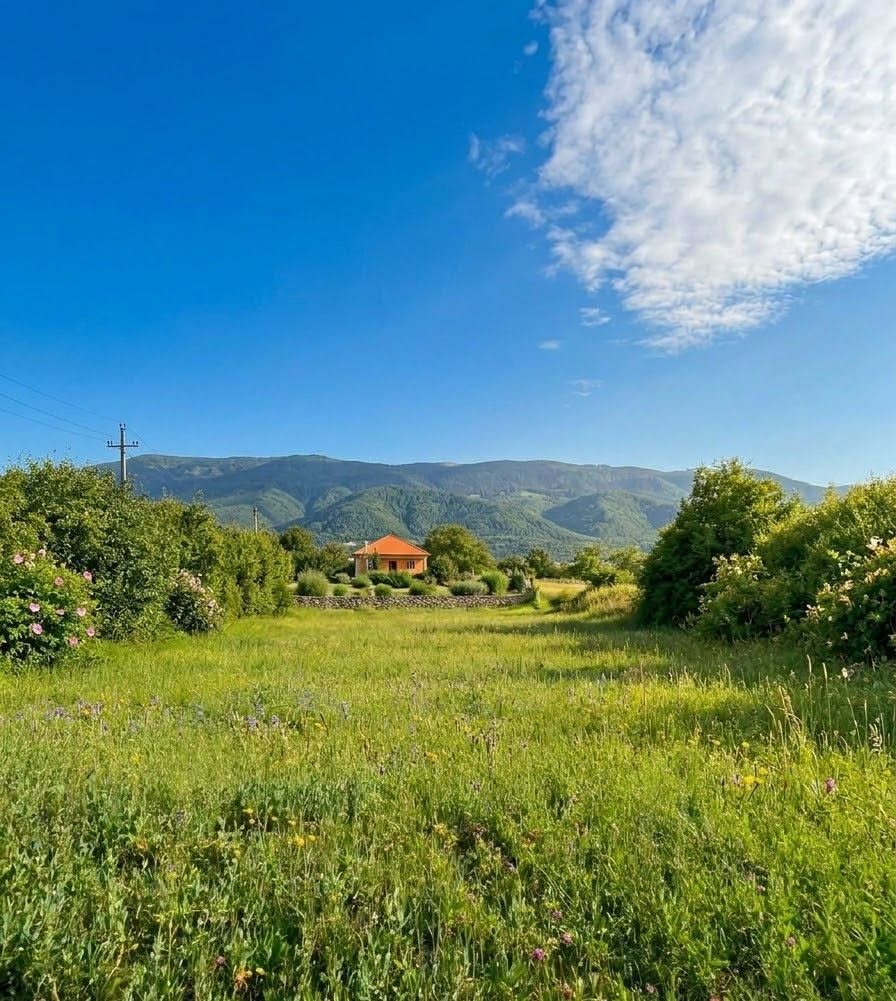 Land plot, Tianeti — $12,500