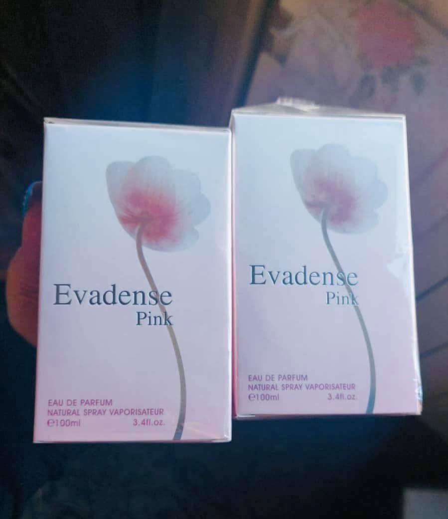 Էվրիդենս 100 միլ տարբերակը 😍 չլսված