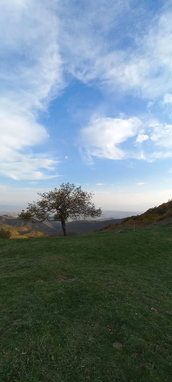 🏠 იყიდება თონე — დიდი დიღომი — 19,000$