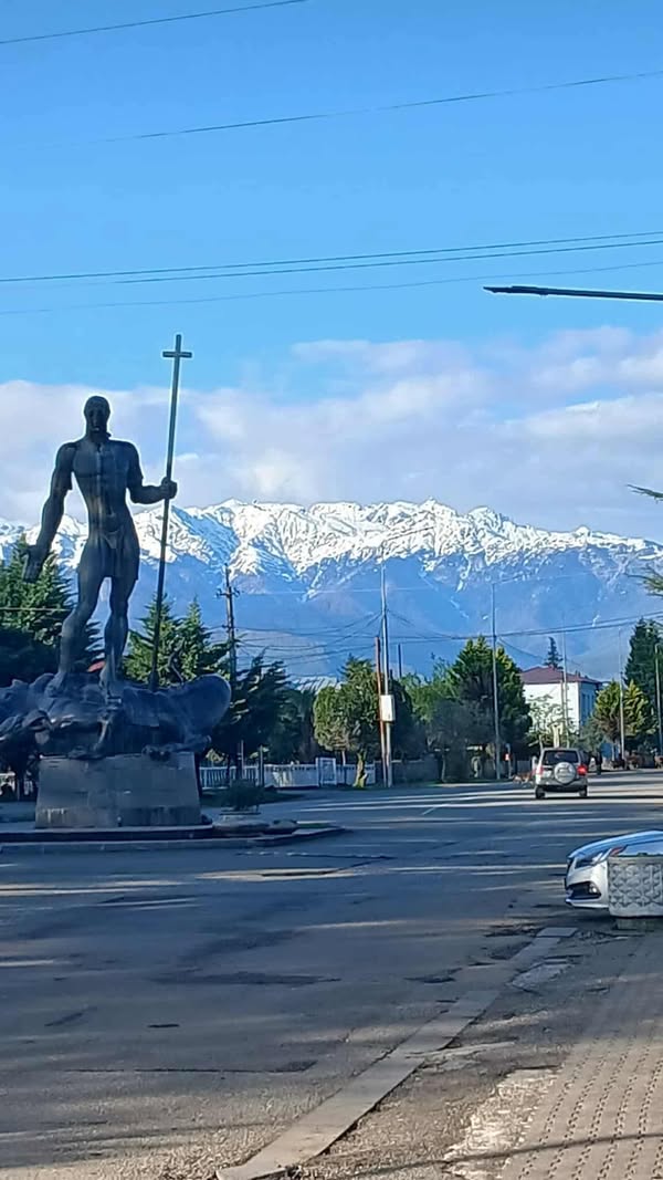 იყიდება შეშა მისაღებ ფასში ,ასევე იყიდება