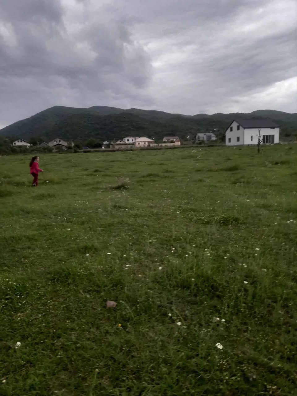 Torpaq sahəsi, Tbilisi