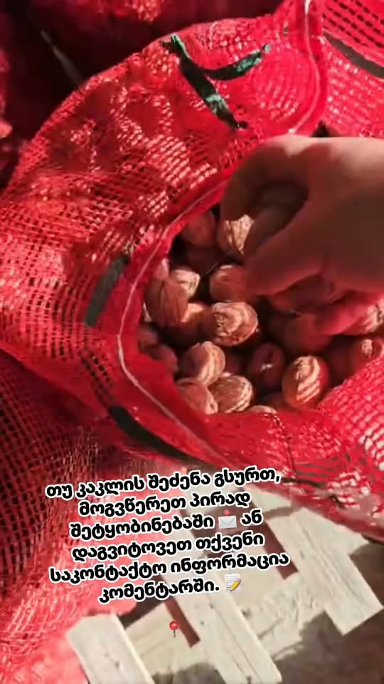 თუ კაკლის შეძენა გსურთ, მოგვწერეთ პირად