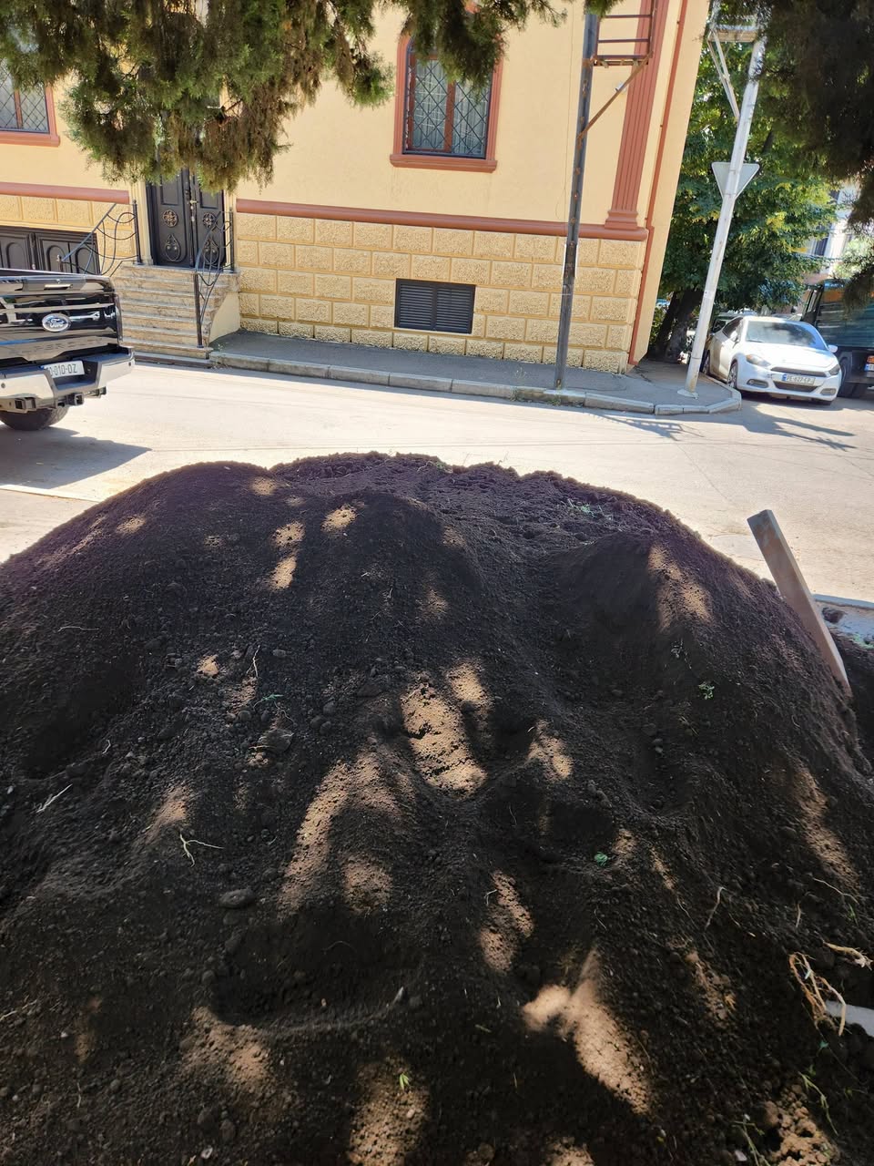 Forest fertile black soil