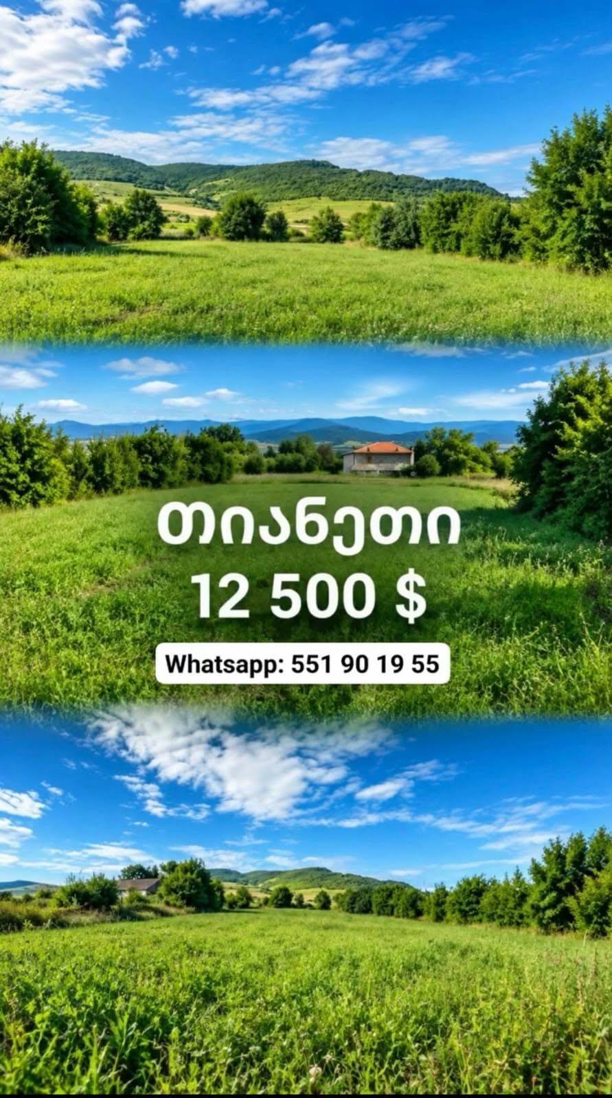 🌿 Продажа участков земли в Тианети —