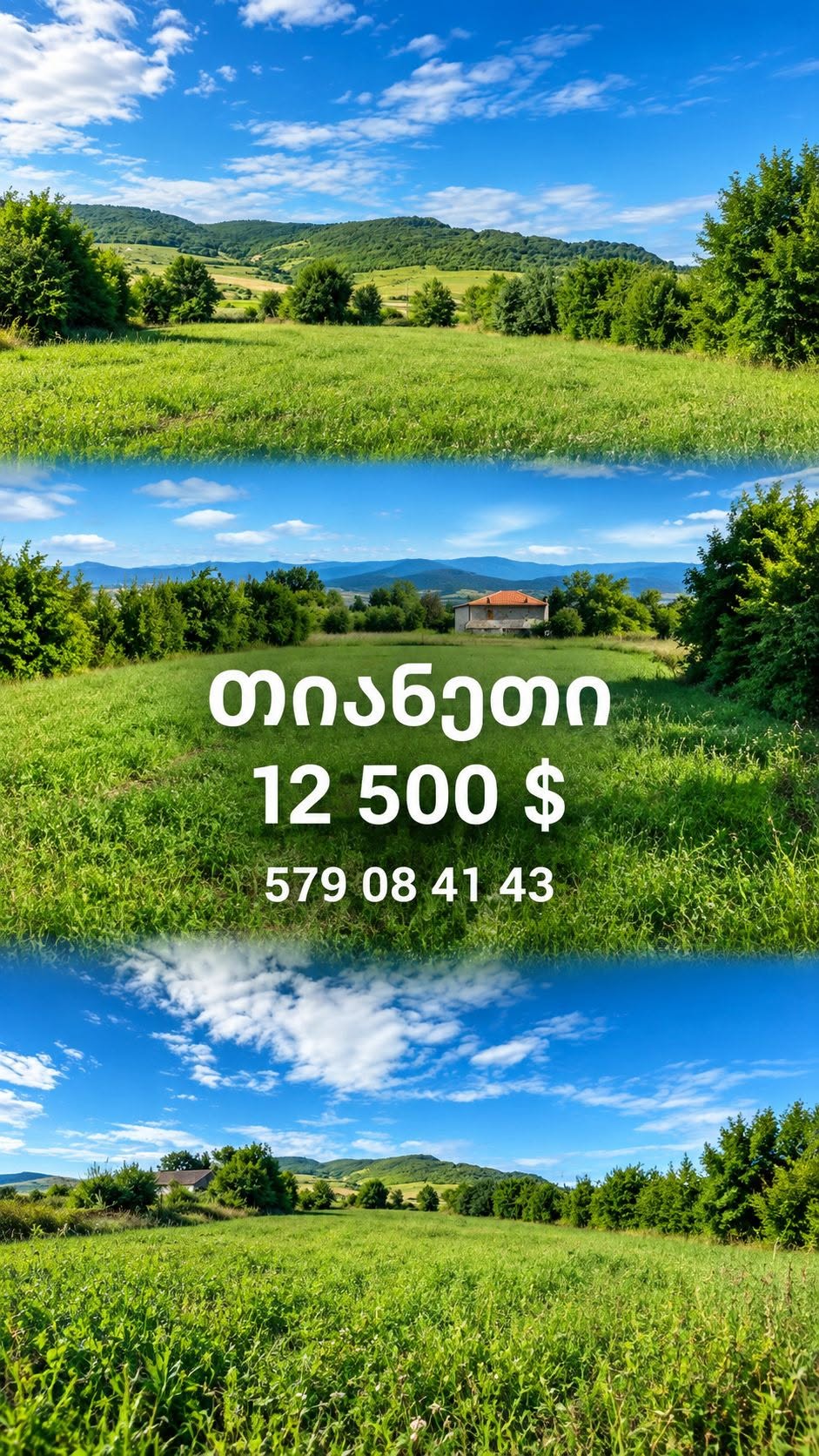 В Тианети — в селе Толенджи продается земля — 12,500$