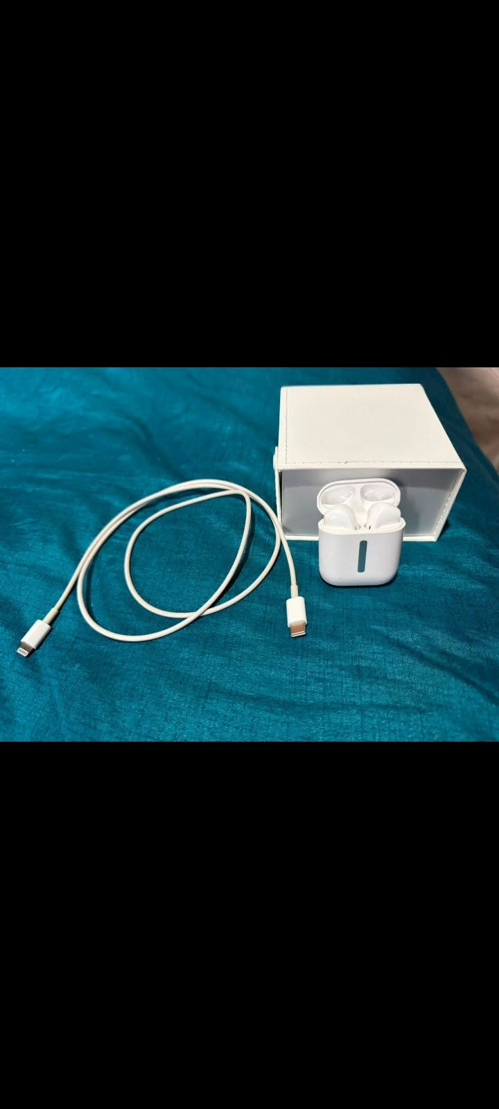 Earbuds and iPhone charger, 2 items