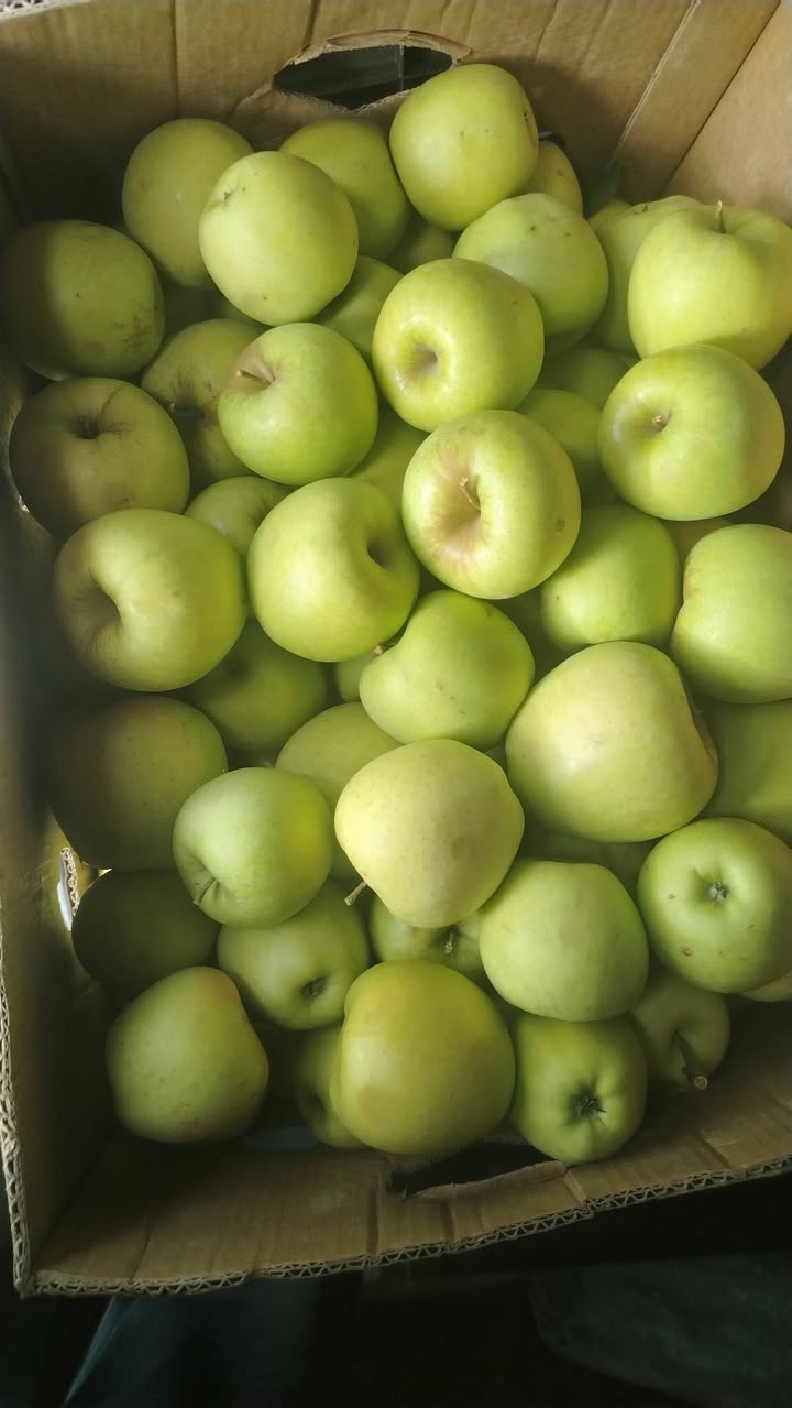 🌿🍏 მადლობა ნდობისთვის! ❤️ მარაგები შეივსო — 2₾