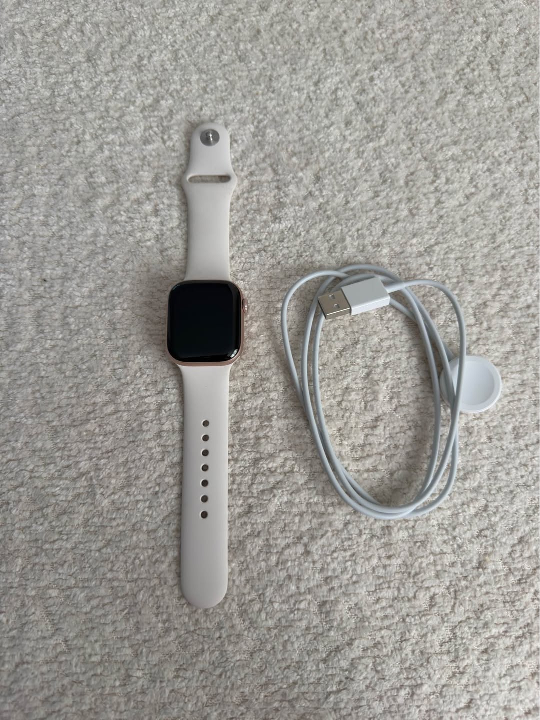 Apple Watch, battery 100%, with charger