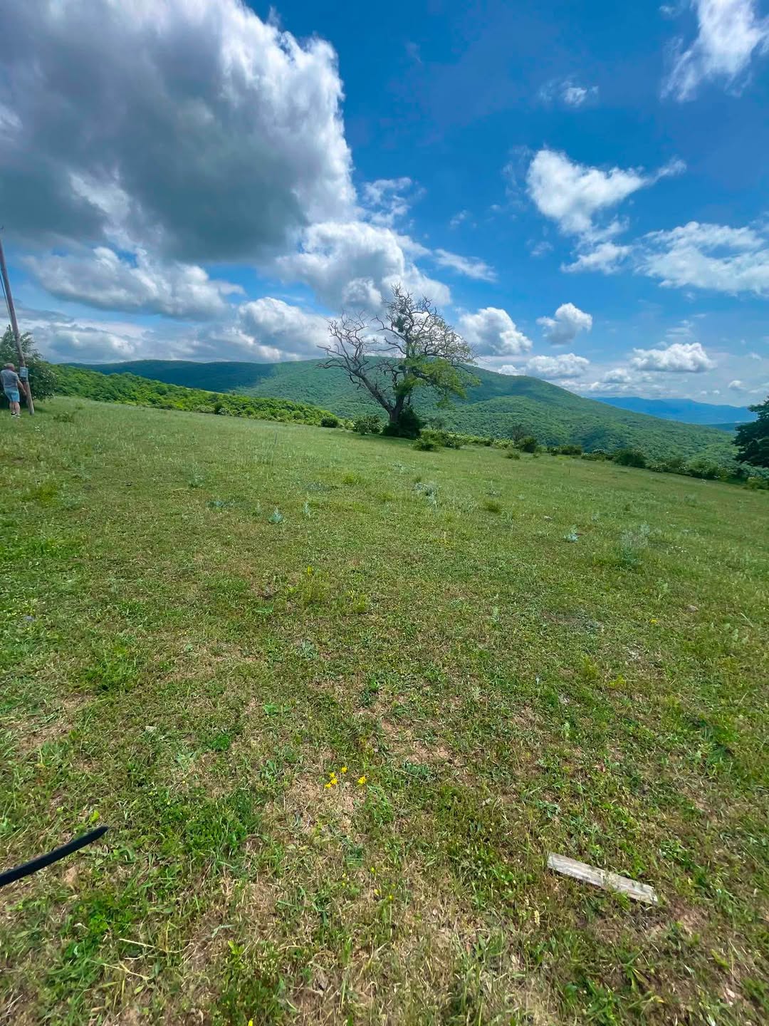 For sale in Mtskheta municipality, specifically in Ufureti - 25,0…