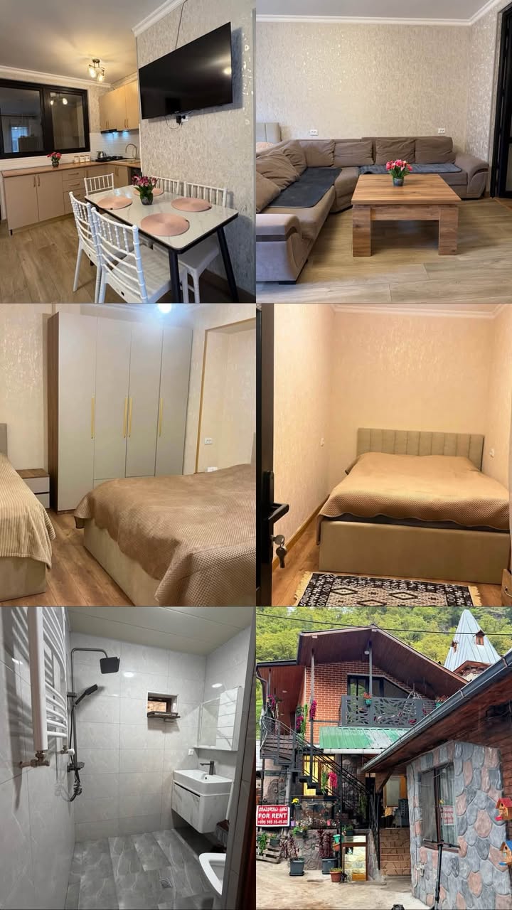 Apartment for rent in Borjomi