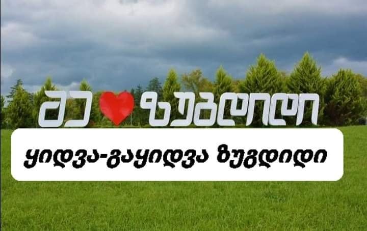 მიწის ნაკვეთი, ზუგდიდი — $2,000