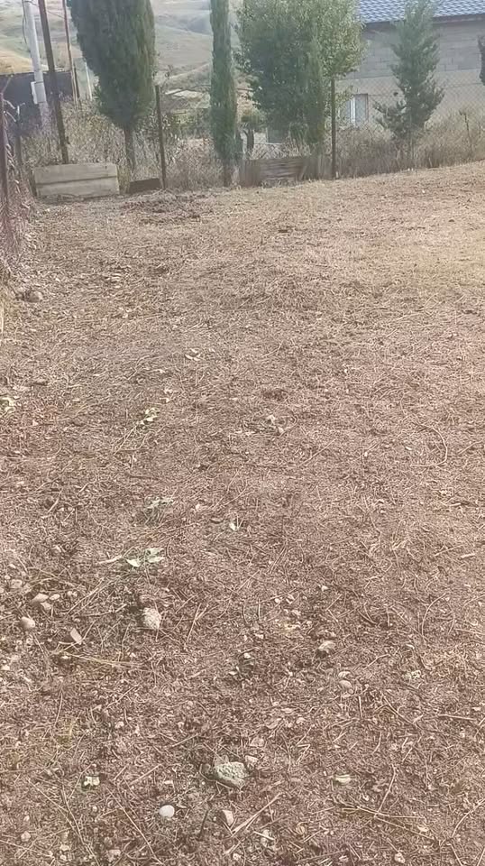 Косить двор, убирать