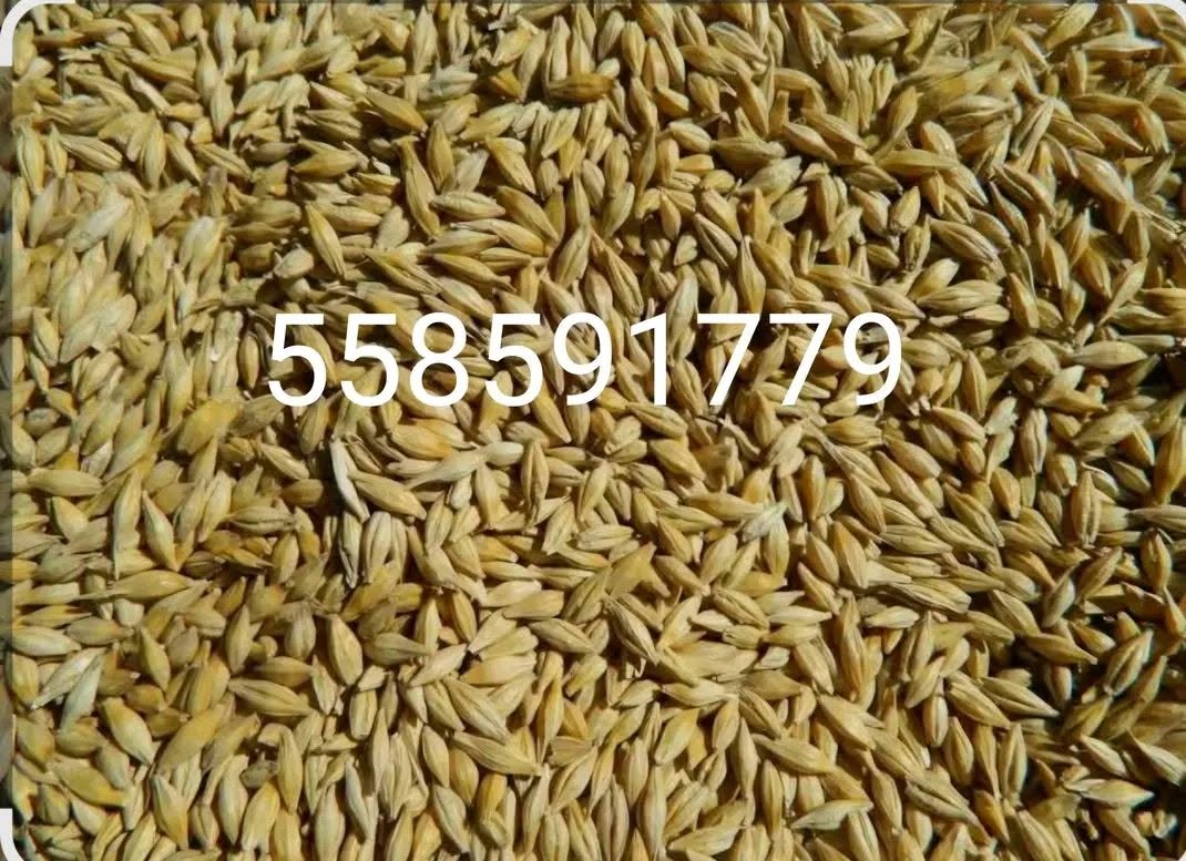 Satılır 🌾arpaq buğda evinizə gətiriləcək