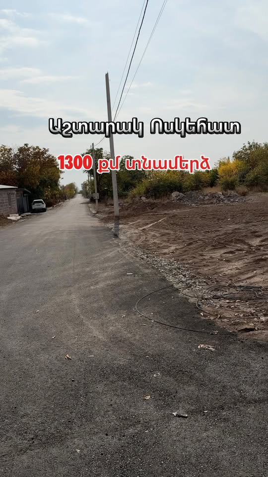 Տնամերձ 1300 քմ, Ոսկեհատ