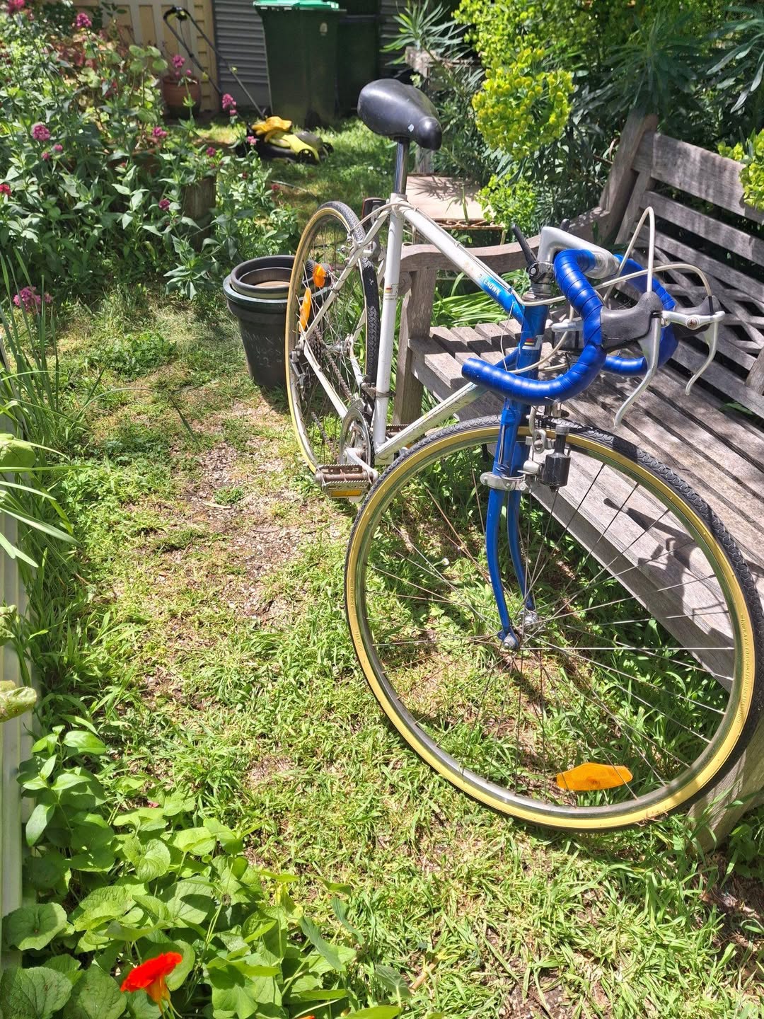Pre+loved+racer+new+tyres+and+tape+on+handlebars+and+recent+service