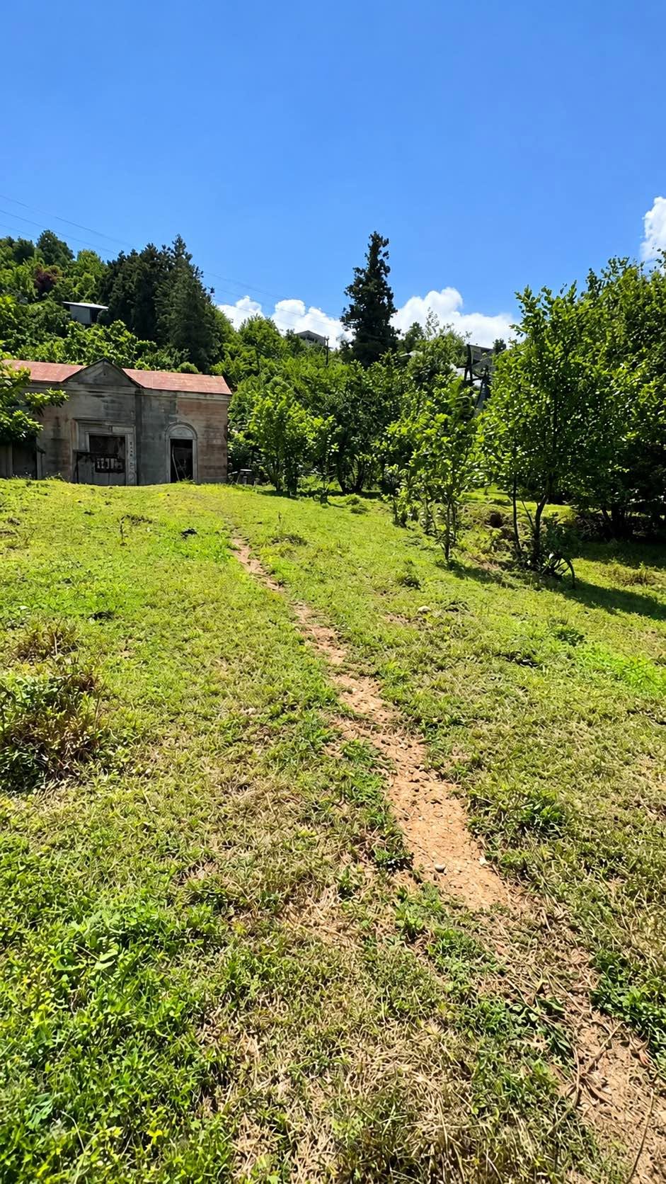 🌿 7,000 m² of agricultural land — 50$