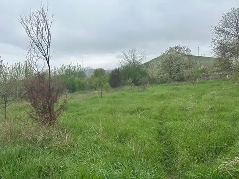 Torpaq