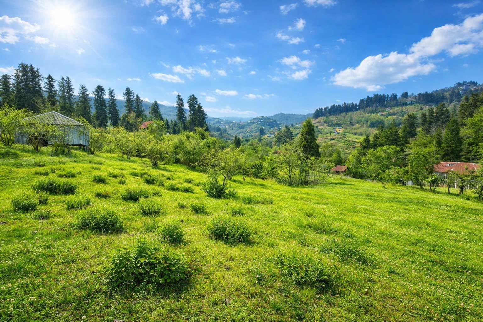 Arazi parçası, Batum — $30