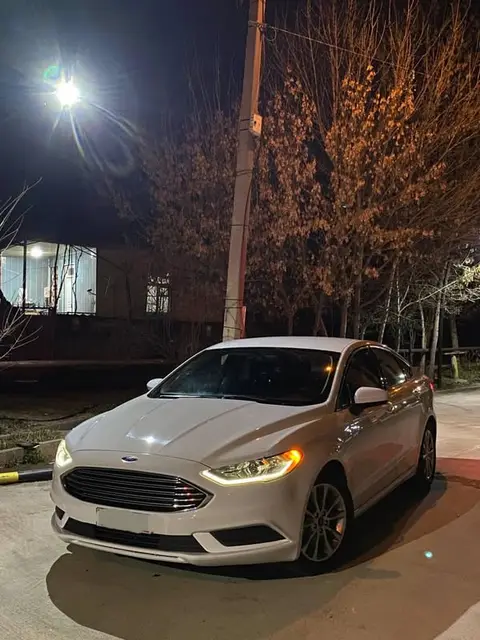 Ford 2017