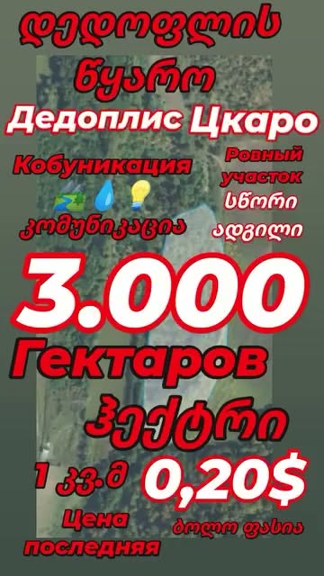 ✔️სასწრაფოდ იყიდება დიდი ჰექტრები, საუკეთესო ადგილას