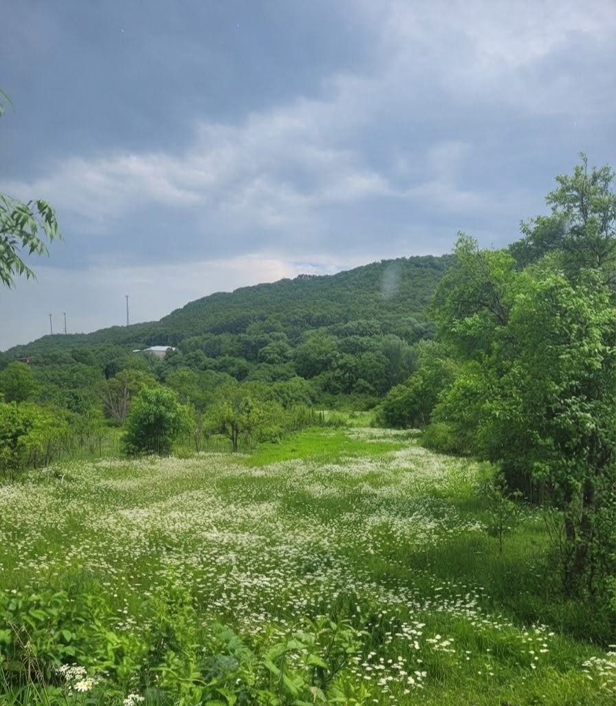 🏡 Ваш дом мечты в Уджарме! 1,000